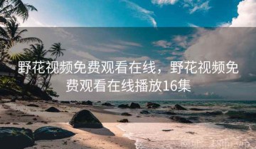 野花视频免费观看在线，野花视频免费观看在线播放16集