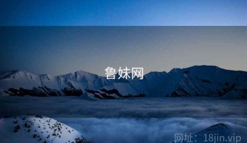 鲁妹网