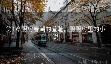 第1章厨房春潮的羞耻，厨厨房里的小说