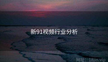 新91视频行业分析