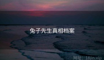 兔子先生真相档案