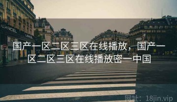 国产一区二区三区在线播放,国产一区二区三区在线播放密一中国