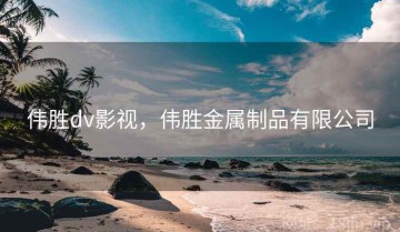 伟胜dv影视,伟胜金属制品有限公司