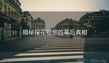 揭秘探花视频的幕后真相