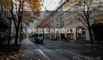 人与狗胶配方的最佳方法