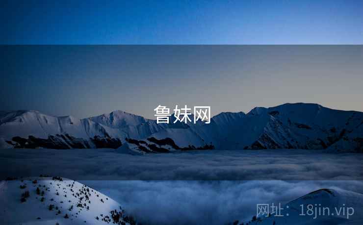 鲁妹网