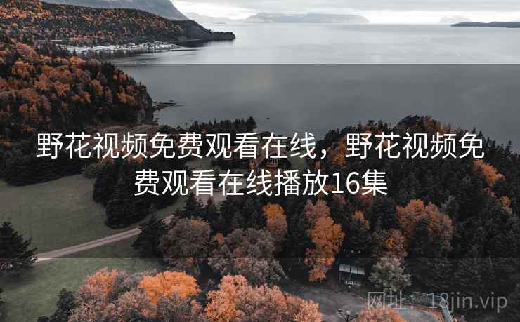 野花视频免费观看在线，野花视频免费观看在线播放16集