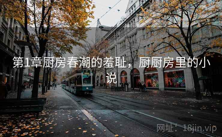 第1章厨房春潮的羞耻，厨厨房里的小说