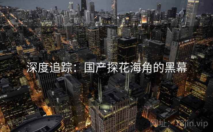 深度追踪：国产探花海角的黑幕