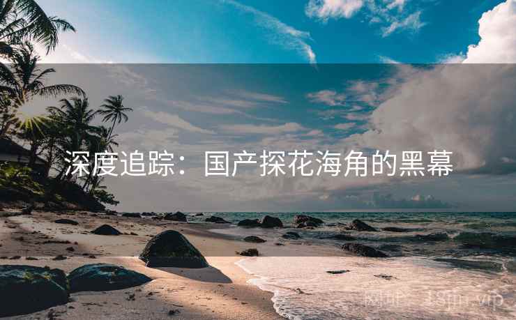 深度追踪：国产探花海角的黑幕