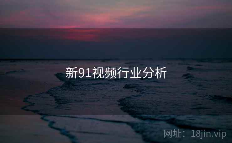 新91视频行业分析