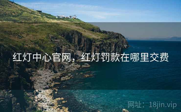 红灯中心官网,红灯罚款在哪里交费 红灯中心官网,红灯罚款在哪里交费