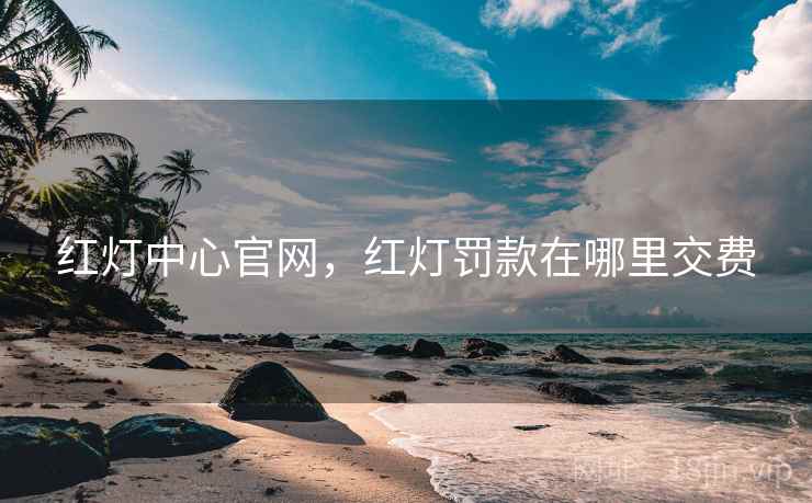 红灯中心官网,红灯罚款在哪里交费 红灯中心官网,红灯罚款在哪里交费