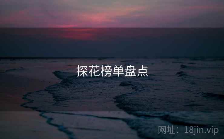 探花榜单盘点 探花榜单盘点