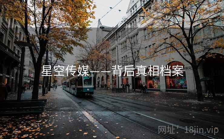 星空传媒——背后真相档案 星空传媒——背后真相档案