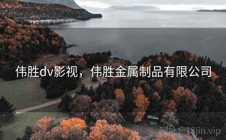 伟胜dv影视,伟胜金属制品有限公司 伟胜dv影视,伟胜金属制品有限公司